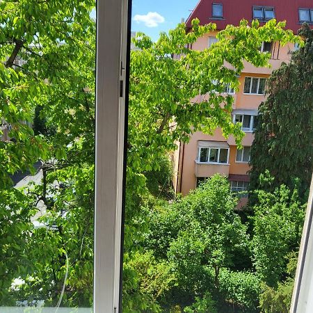 Apartament Florilor バイア·マーレ エクステリア 写真