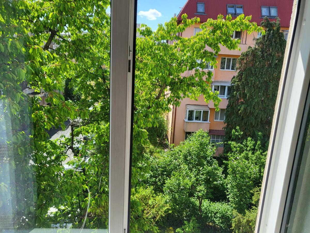 Apartament Florilor バイア·マーレ エクステリア 写真
