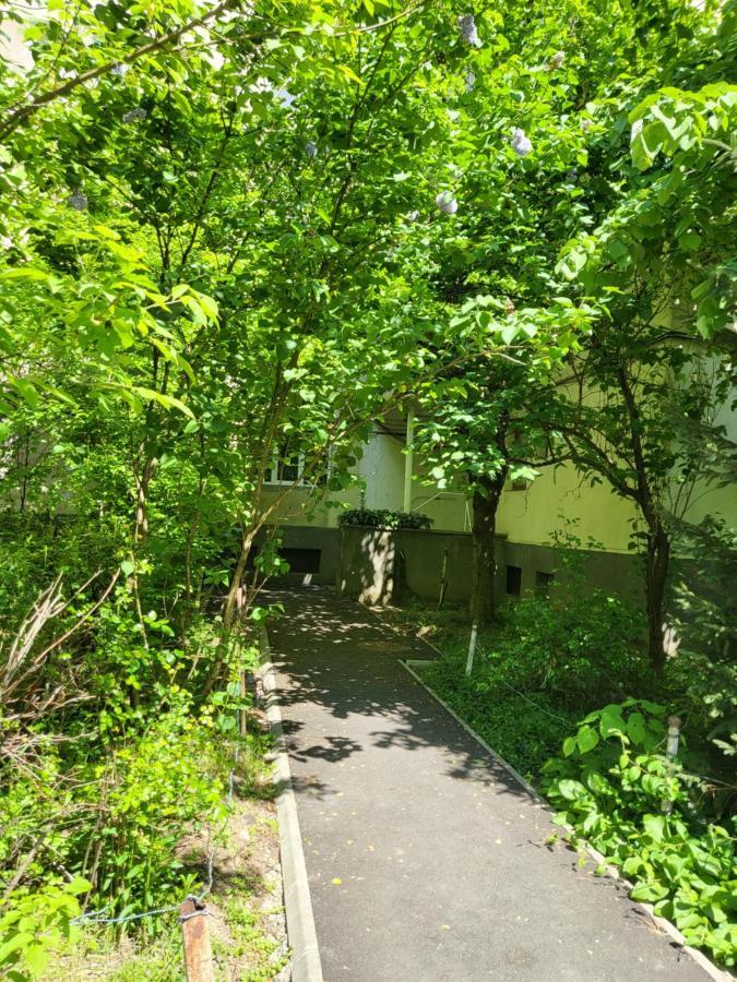 Apartament Florilor バイア·マーレ エクステリア 写真